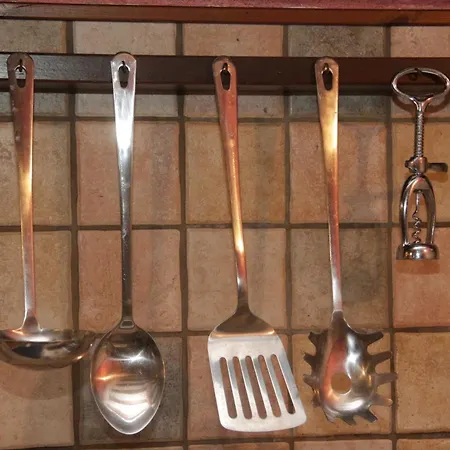 شقة Grazioso Sull'arno بيزا